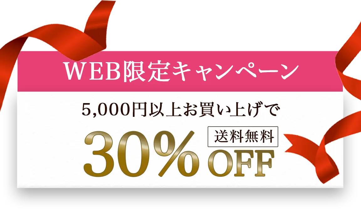 WEB限定キャンペーン　5,000円以上お買い上げで30%OFF　送料無料