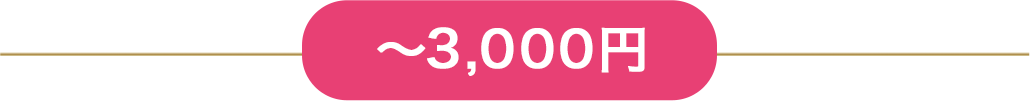 ~3,000円